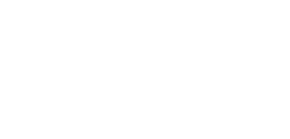 WikiCari